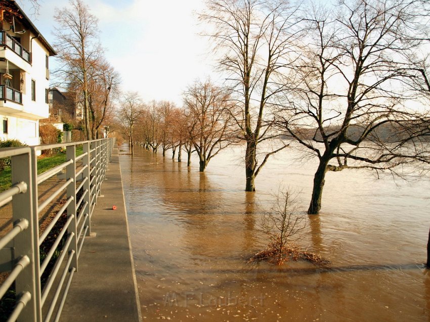 Hochwasser Koeln 2011 Tag 3 P087.JPG